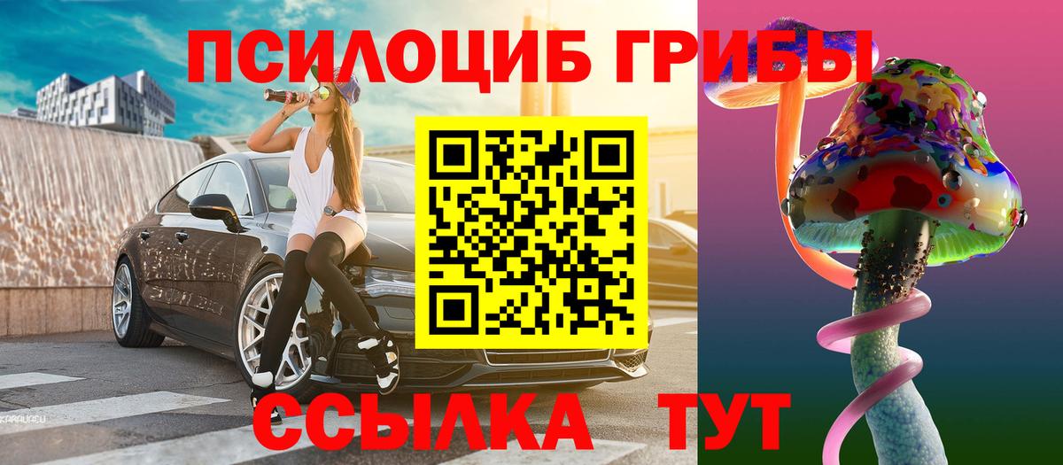 Псилоцибиновые грибы Psilocybe Зеленогорск
