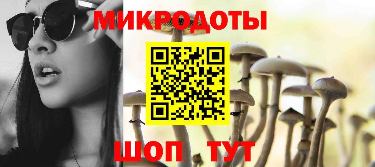Псилоцибиновые грибы Psilocybine cubensis  дарнет шоп  Зеленогорск  Вход с VPN 
